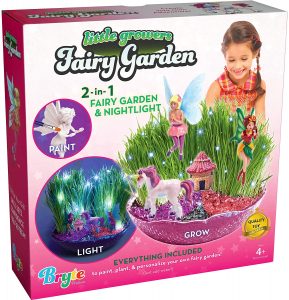 Little Growers Fairy Garden Craft Kit in 2023