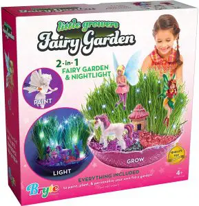 Little Growers Fairy Garden Craft Kit in 2023